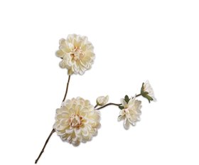 COX&COX Dahlia Spray - Cream 1152914