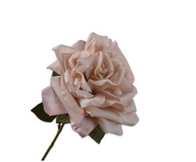 COX&COX Rose Stem - Antique Pink 1152917