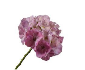 COX&COX Hydrangea Stem - Pink 1152926