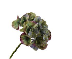 COX&COX Hydrangea Stem - Green 1152925