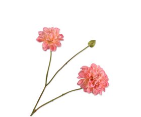 COX&COX Dahlia Spray - Coral 1152928