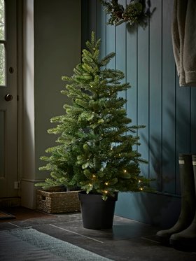 COX&COX Indoor Outdoor Bergen Spruce Pre-Lit 4ft Tree 1053280