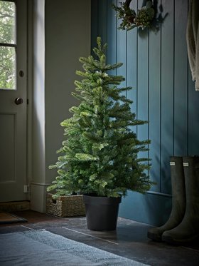 COX&COX Indoor Outdoor Bergen Spruce Pre-Lit 4ft Tree 1053280