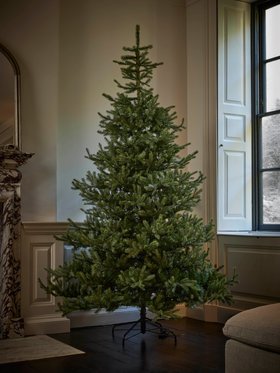 COX&COX Bergen Spruce Christmas Tree - 7ft