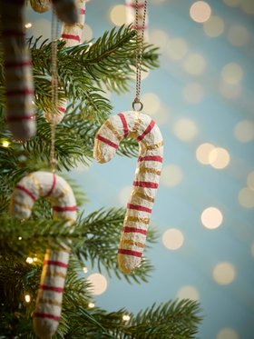 COX&COX Six Paper Mache Candy Canes 1053976