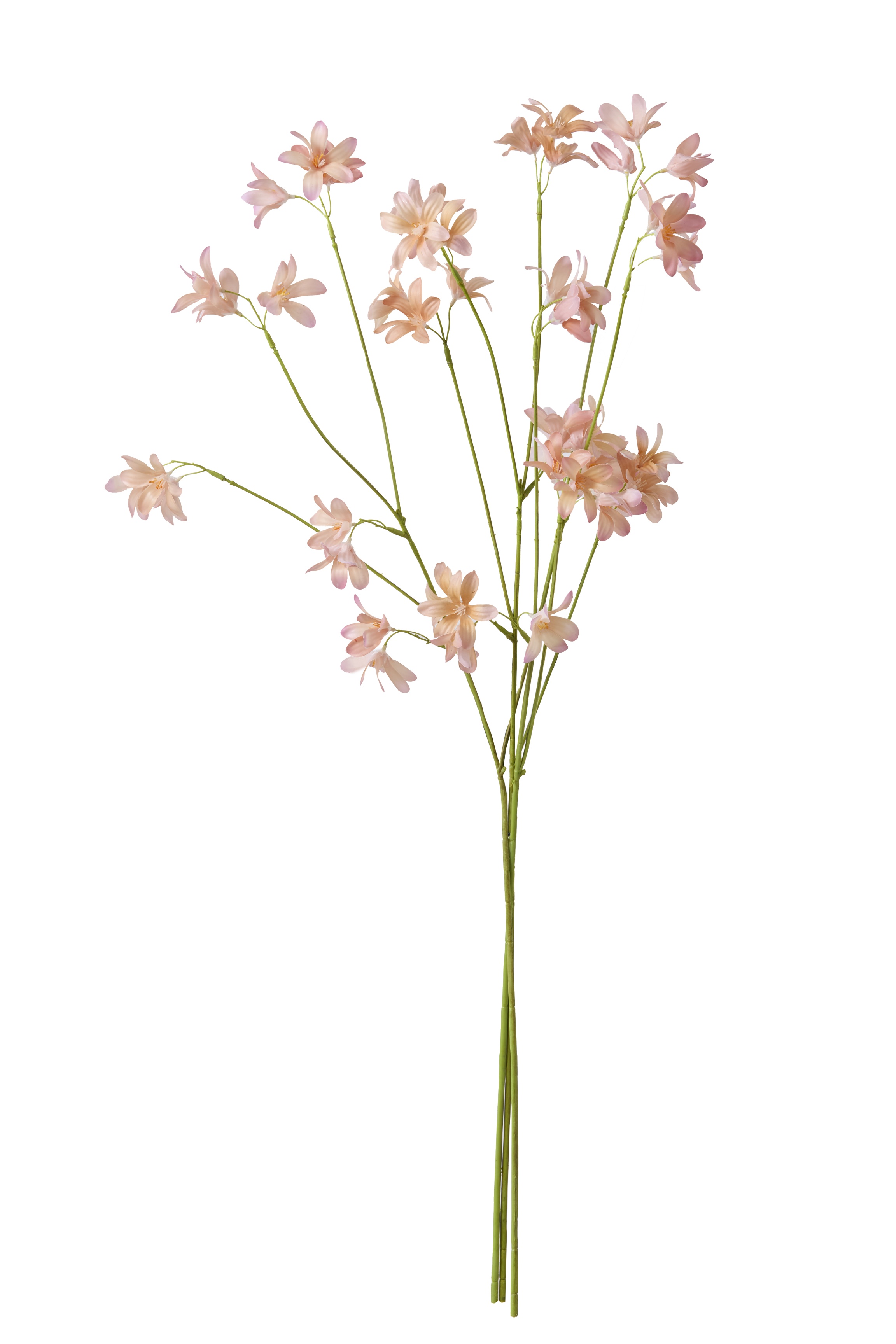 COX&COX Three Faux Hyacinth Sprays - Peach 1151208