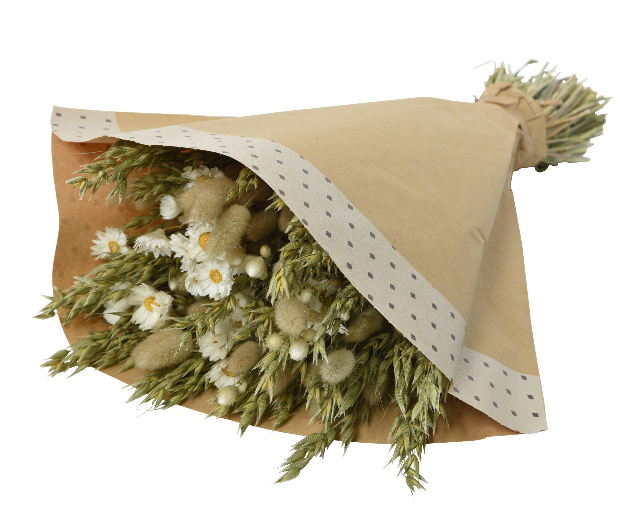 COX&COX Dried Daisy & Wheat Bouquet 1132230