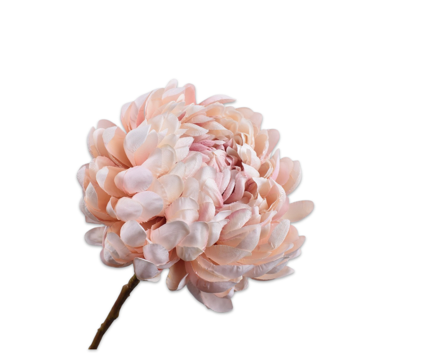 COX&COX Chrysanthemum Spray - Pink 1152911