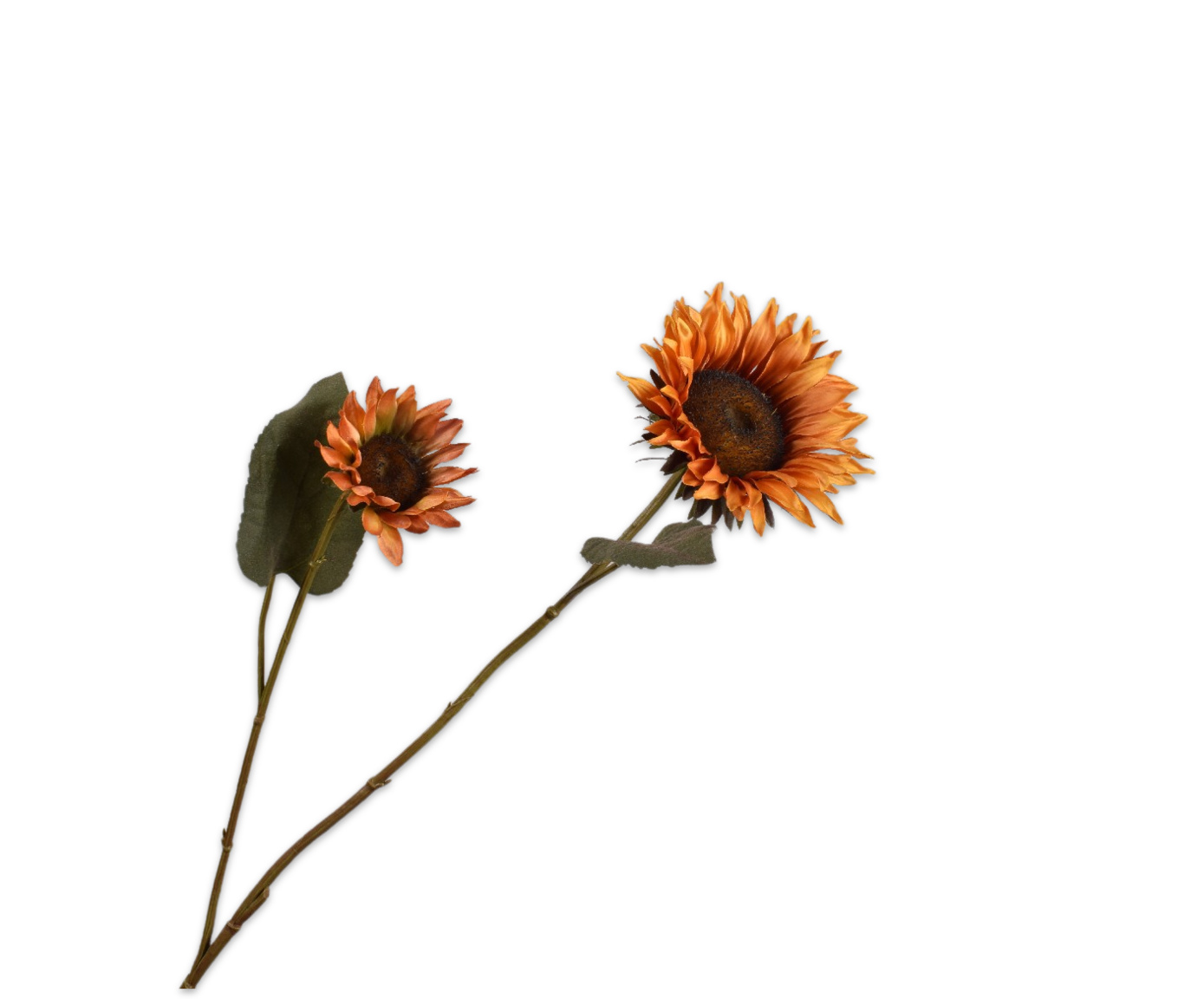 COX&COX Sunflower Spray 1152912