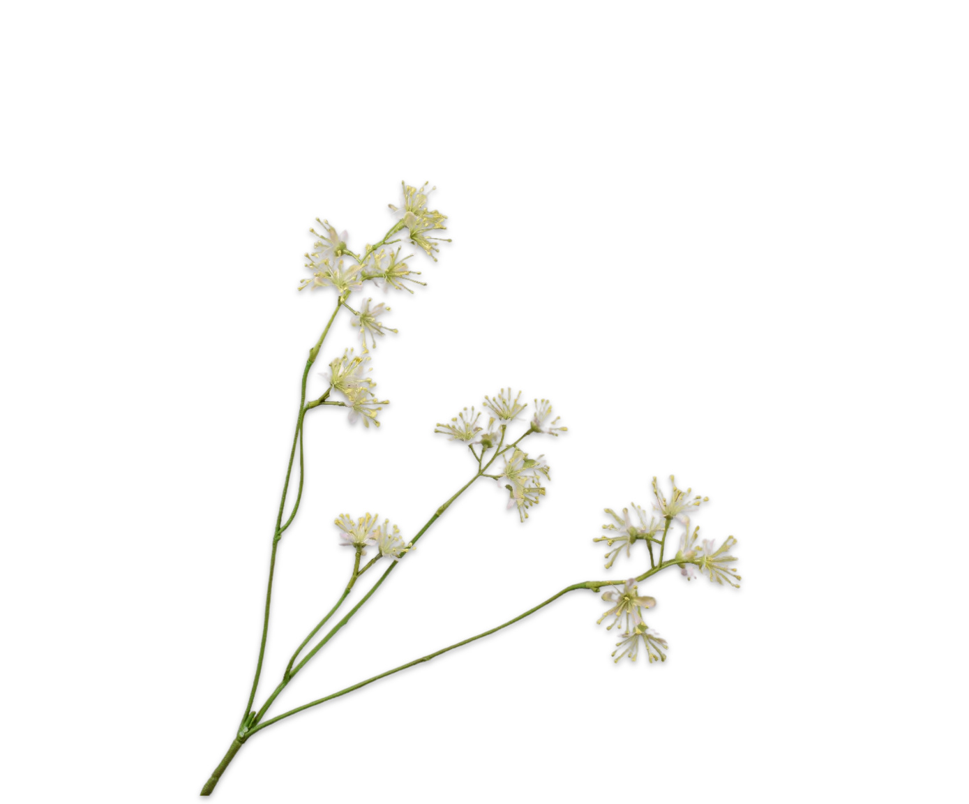 COX&COX Aralia Spray - White 1152921