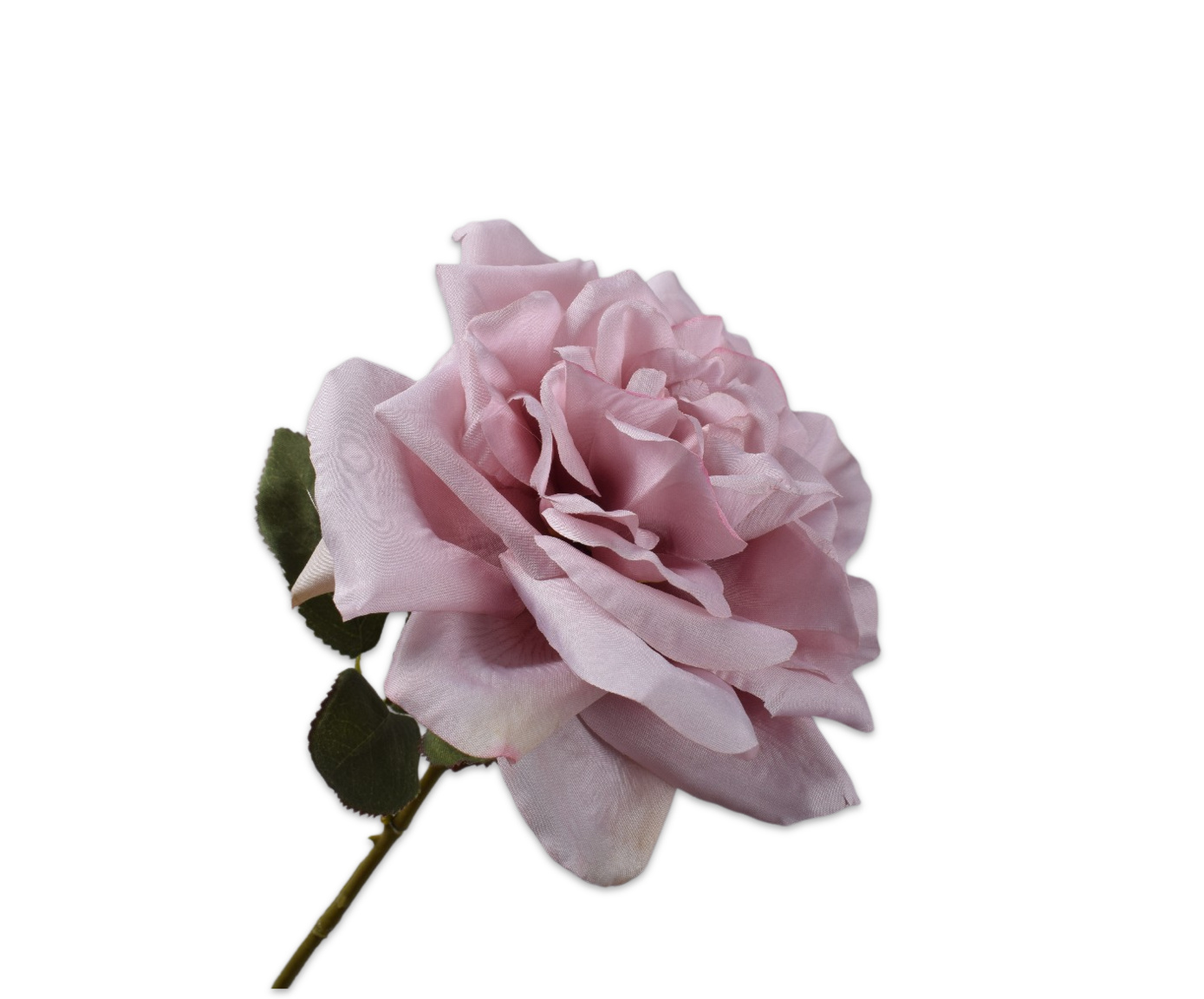 COX&COX Rose Stem - Pink 1152916