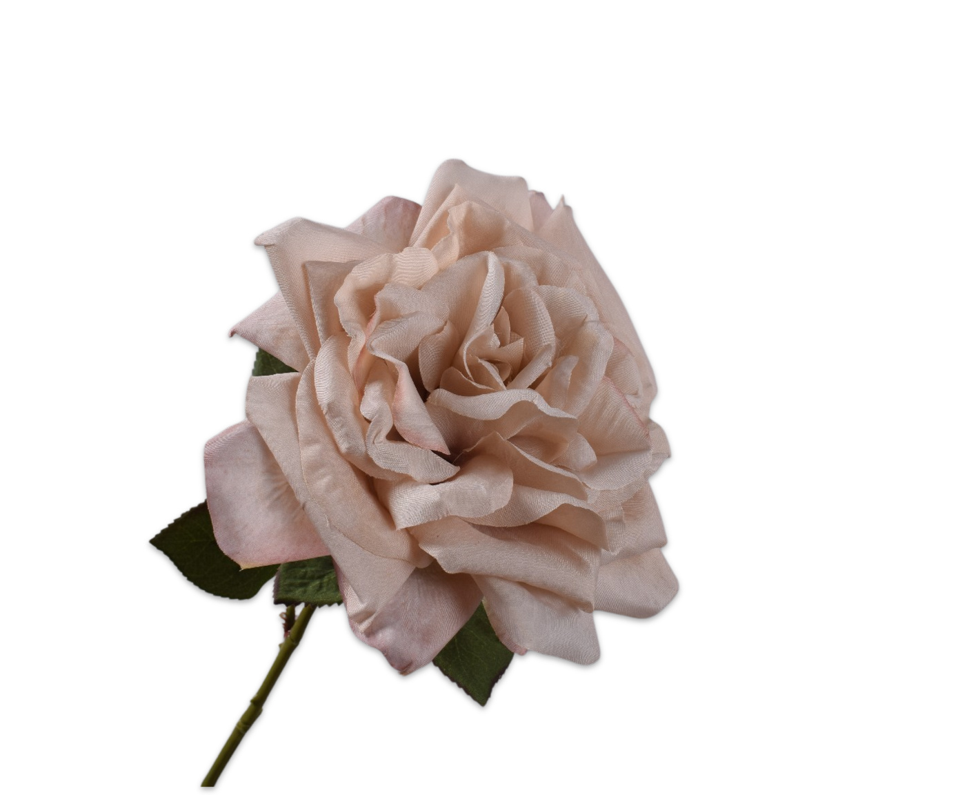 COX&COX Rose Stem - Antique Pink 1152917