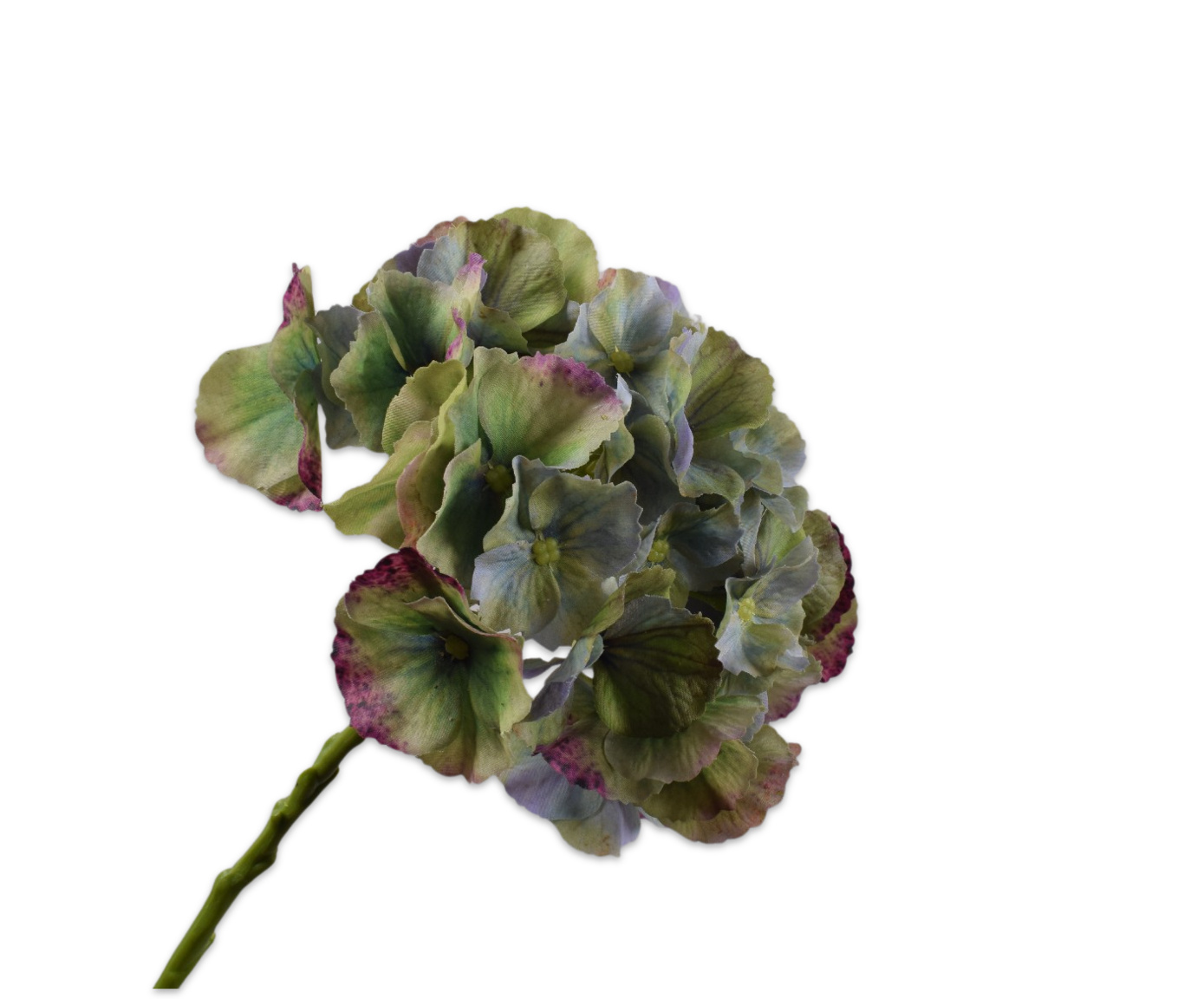 COX&COX Hydrangea Stem - Green 1152925