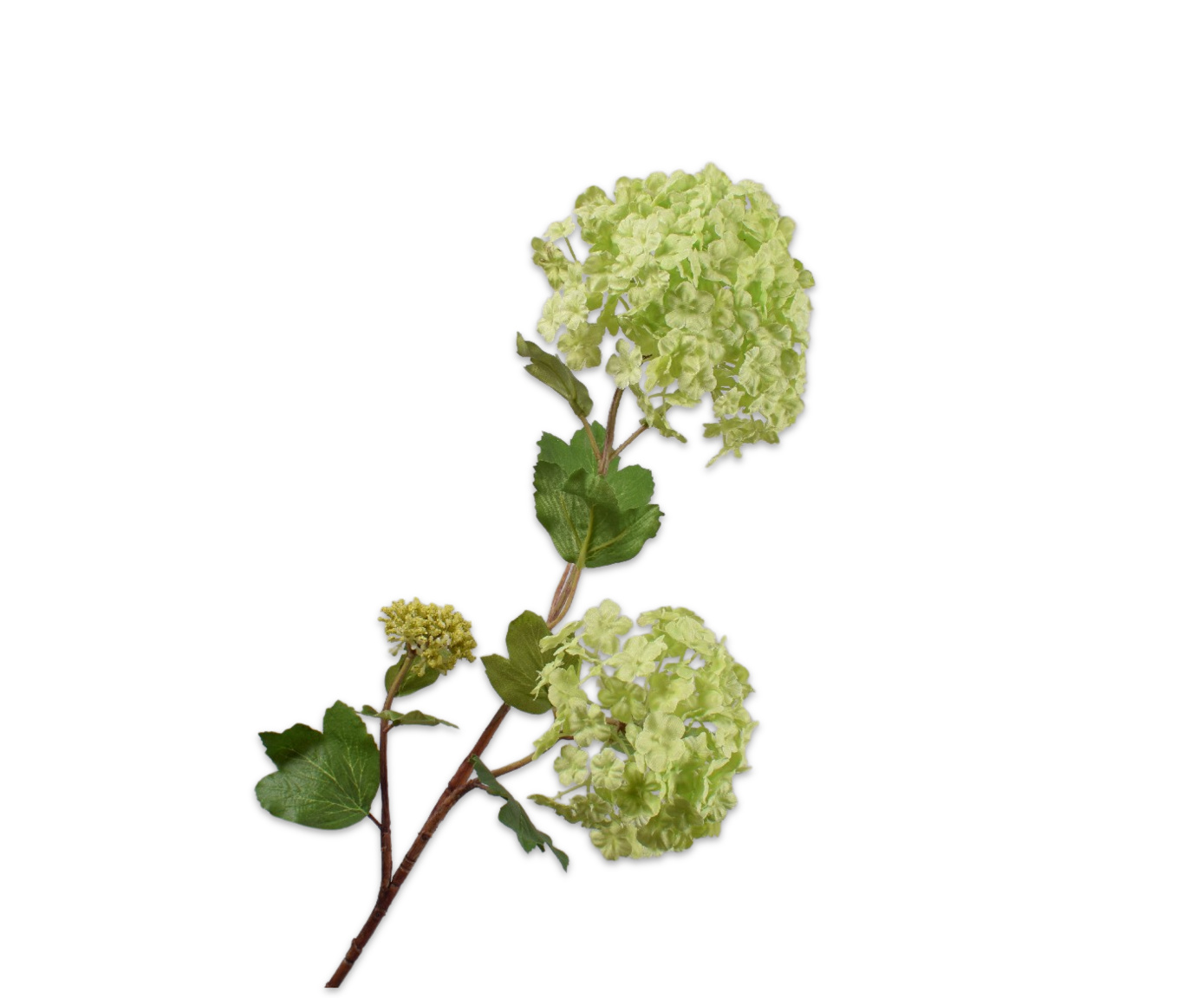 COX&COX Snowball Spray - Green 1152918