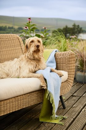MOON, Double Face Sky Apple Pure Wool Throw, £125 (2)