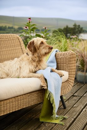 MOON, Double Face Sky Apple Pure Wool Throw, £125 (3)