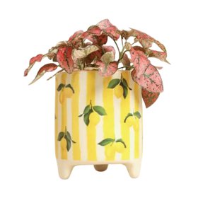 Yellow Striped Lemons Ceramic Plant Pot