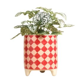 Red and Pink Checked Mini Plant Pot