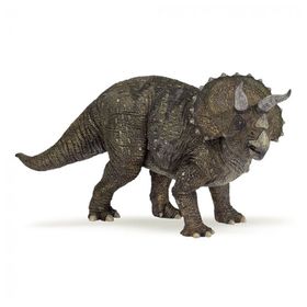 T. rex Facts T-shirt for Kids-7 - 8 years
