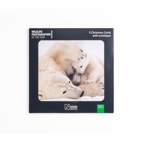 Warm Embrace Christmas Card Pack: Wildlife Photographer of the Year