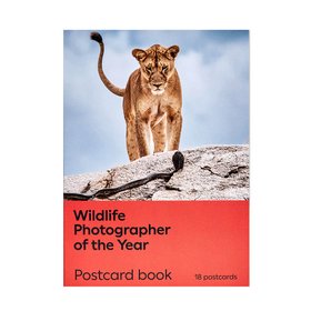 Postcard Book Wildlife Photographer of the Year 61