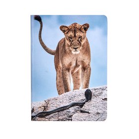 Wake-up Call Notebook: Wildlife Photographer of the Year 61
