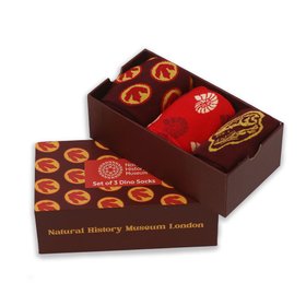 T. rex Skull Christmas Box of Socks