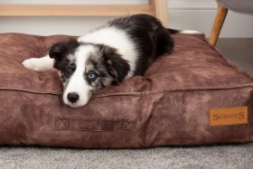 Chocolate Kensington Mattress LS1