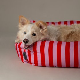 Amalfi Striped Box Bed - Pink