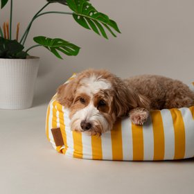 Amalfi Striped Box Bed - Yellow
