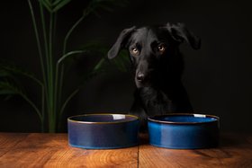 Reactive Glaze 2 Piece Dog Food & Water Bowl Set - Midnight Blue