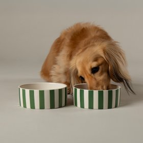 Amalfi Striped 2 Piece Dog Bowl Food & Water Bowl Set - Green