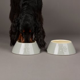 Classic 2 Piece Long Eared Dog Food & Water Bowl - Grey