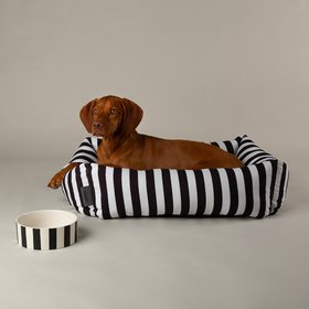 HomePageBanner Mobile BlackBedAndBowl