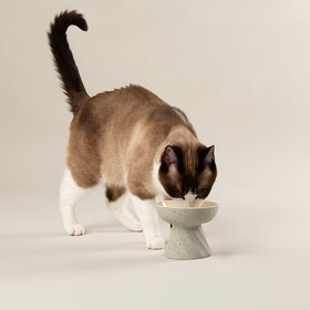 Zen 2 Piece Raised Cat Feeder & Saucer Set - Grey