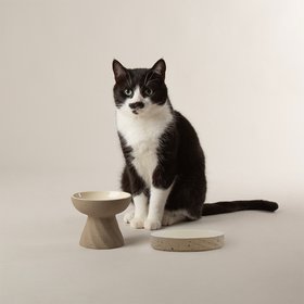 Zen 2 Piece Raised Cat Feeder & Saucer Set - Brown