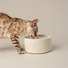 Icon Cat Water Fountain 20cm - Cream