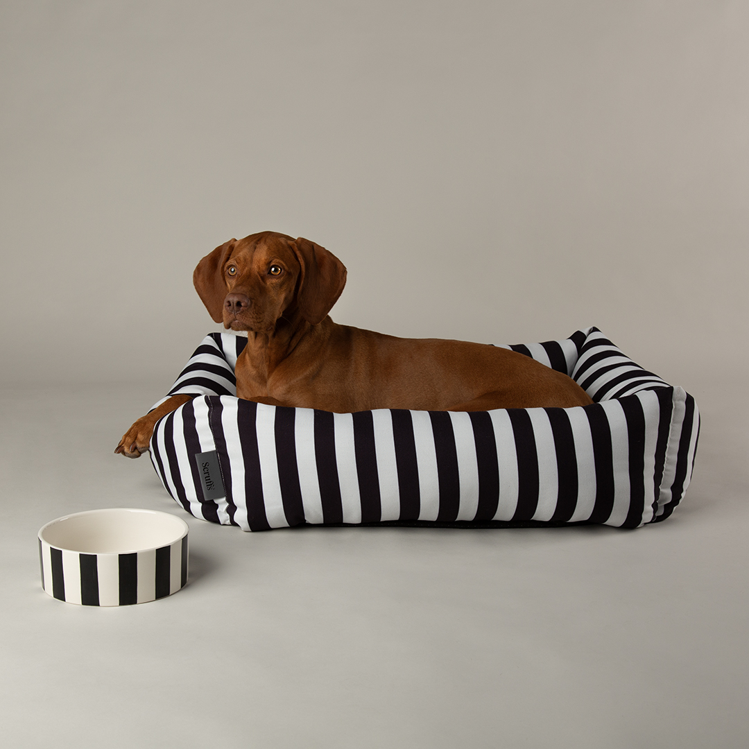 HomePageBanner Mobile BlackBedAndBowl