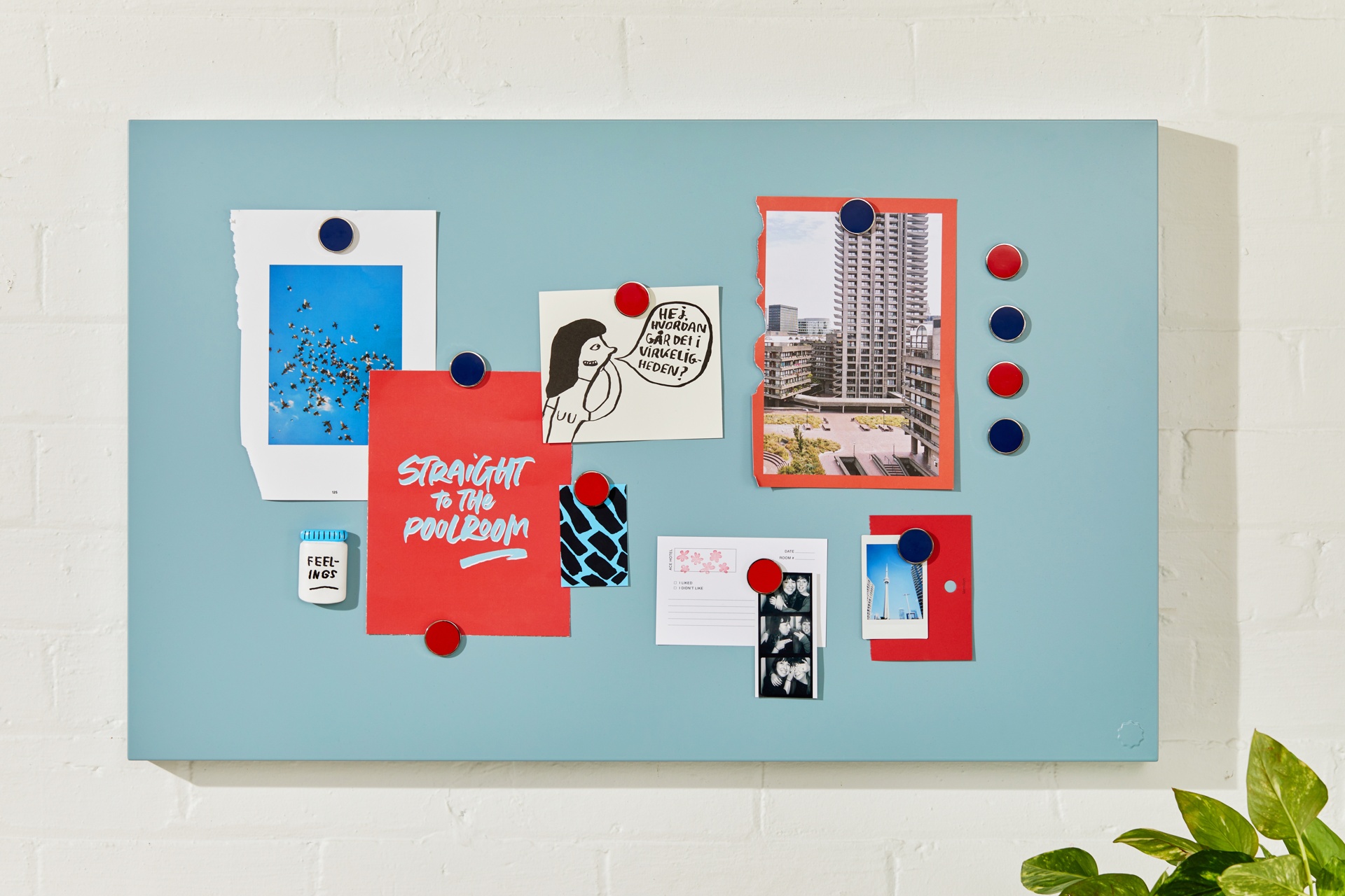 The Storyboard + Buttons Ocean Mustard Made 001