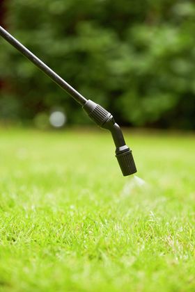 COMPO Rasendünger Anwendungsbild