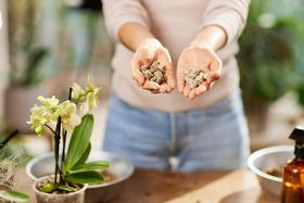 COMPO BIO GRANUPLANT® Orchideensubstrat in den Händen