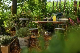 Compo Schattiges Plaetzchen Mood