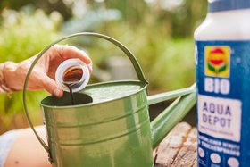 Compo BIO Aqua Depot Universaldünger Mood