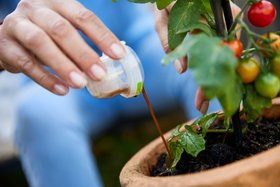 COMPO BIO READY TO USE Mood