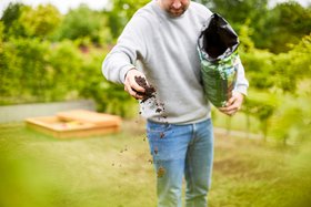 COMPO Rasen Fit Keimsubstrat Mood