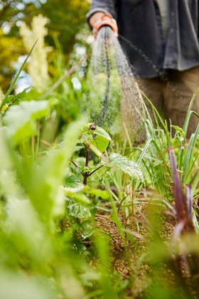 COMPO BIO Bodenschutz Pellets Wässerung