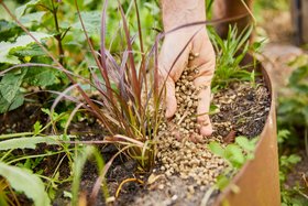 COMPO BIO Bodenschutz Pellets Mood