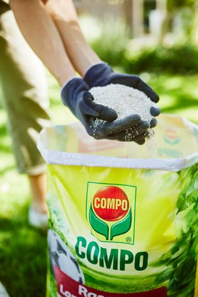 COMPO Rasenlangzeitdünger Nahaufnahme