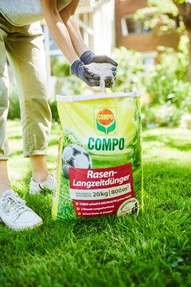 COMPO Rasenlangzeitdünger Garten