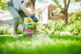 COMPO Rasenlangzeitdünger Anwendung